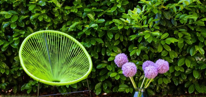 intégrer des chaises modernes dans un jardin traditionnel